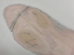 �G�|�L�V �v���Z�{ �f�b�L ���� 36_2